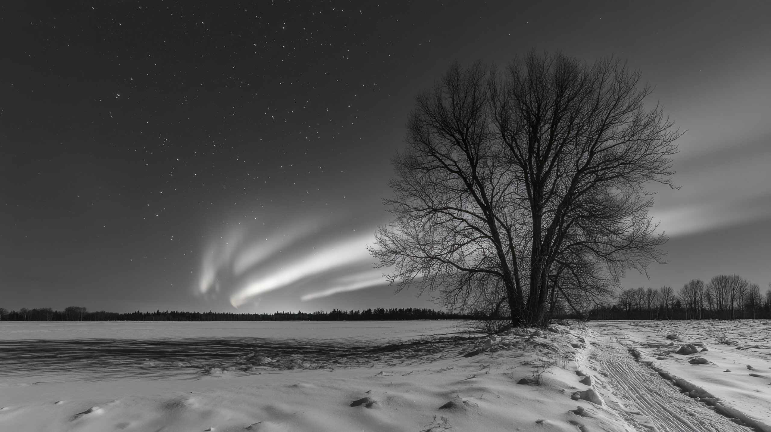 Aurora Borealis Over Frozen Land