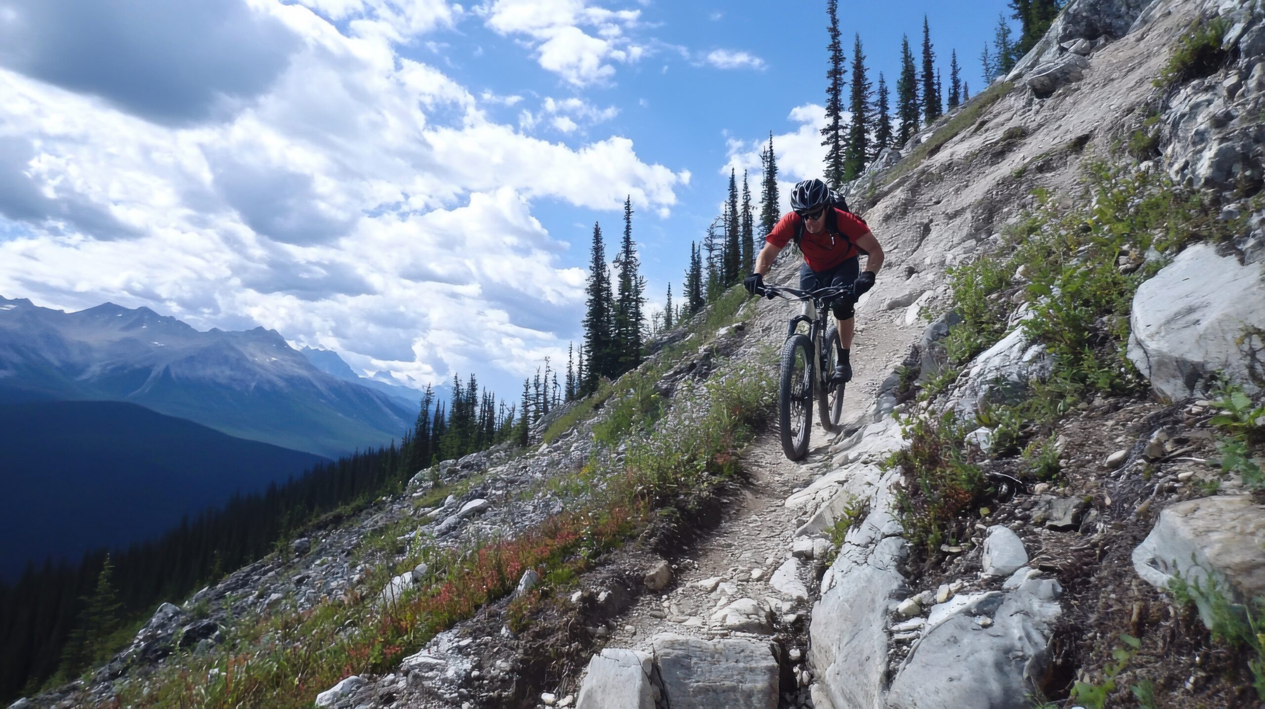 Descent on Rocky Mountain Trail