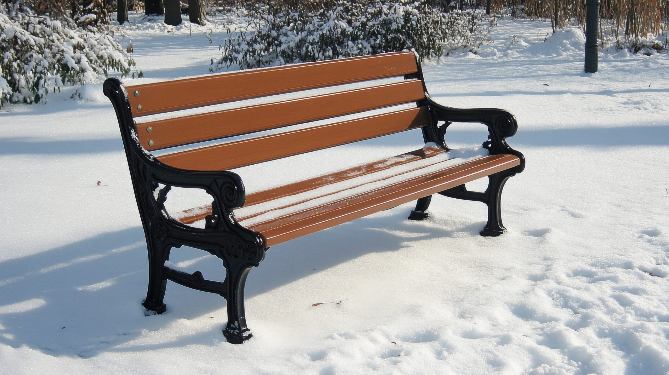 Solitary Bench in Sparkling Snow