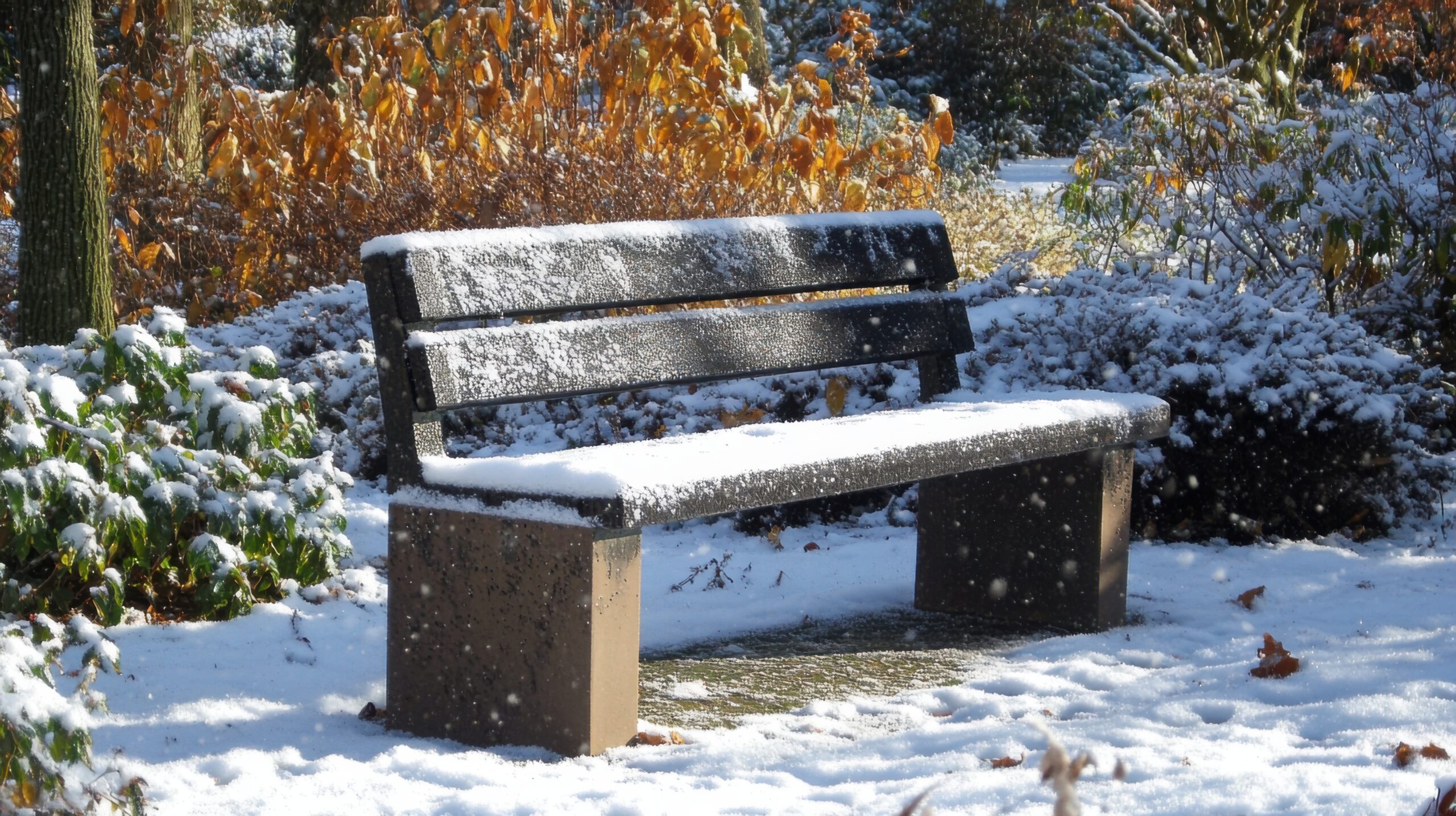 Solitary Bench in Sparkling Snow