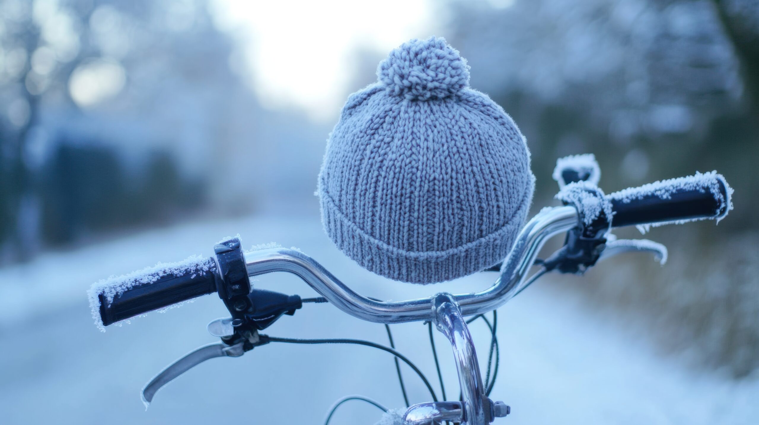 Wool Hat on Frosted Bicycle
