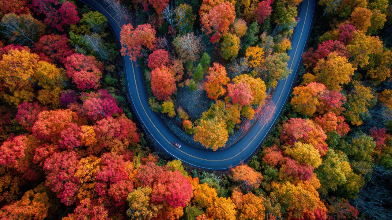 An Aerial Drone View Of A Winding Road In A Vibrant Autumn Forest